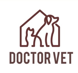 Doctor-Vet